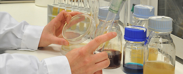 sale of freeze-dried lactic cultures for fermented milks & cheeses