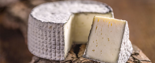 Production of non-animal coagulants Paride Venturelli cheeses
